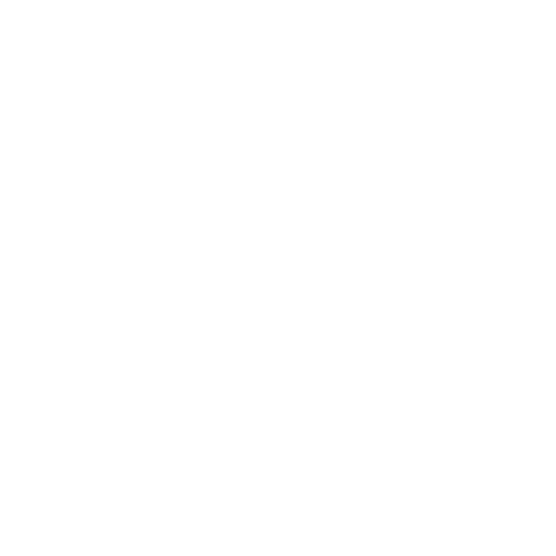 Connect_Icon