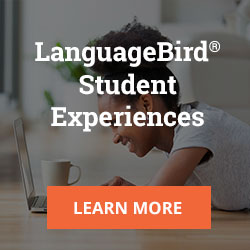 Student Language Experiences