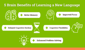 5 Brain Benefits of Learning a New Language